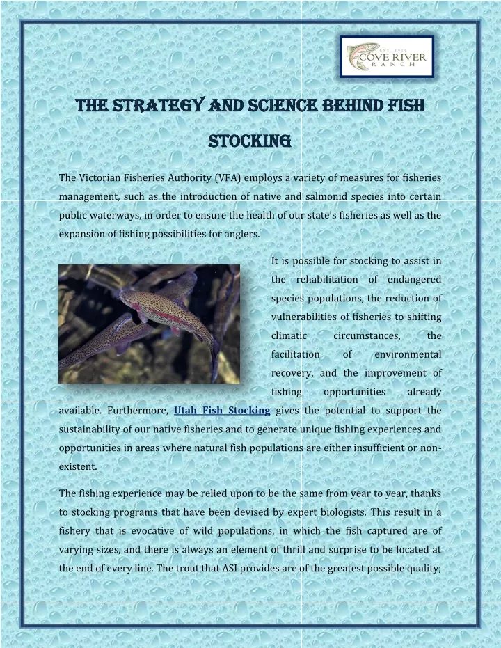 the strategy and science behind fish the strategy