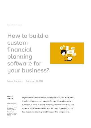How to build a custom financial planning software for your business