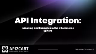 API Integration: Meaning and Examples in the eCommerce Sphere