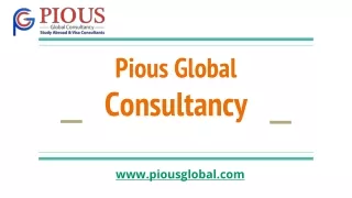 pious global consultancy