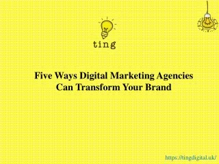 Five Ways Digital Marketing Agencies Can Transform Your Brand