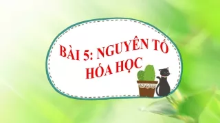Bài giảng Hóa học 8 -  Bài 5: Nguyên tố hóa học