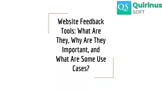 Website Feedback Tools_ What Are They, Why Are They Important, and What Are Some Use Cases_