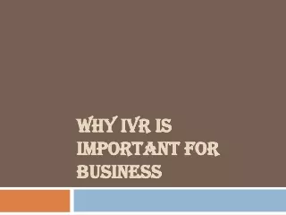 why ivr is important for business