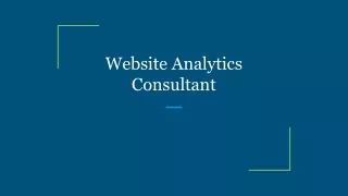 Website Analytics Consultant