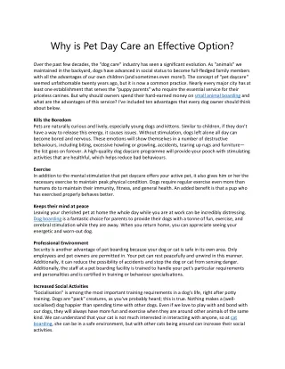 Why is Pet Day Care an Effective Option?