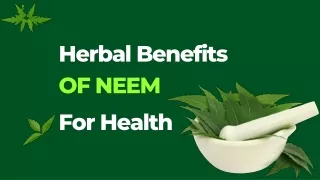 Herbal Benefits of Neem For Health