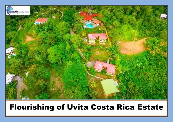 flourishing of uvita costa rica estate