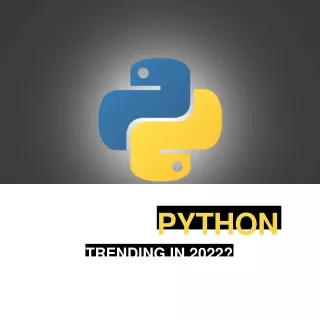 #1 Python Training Course Institute In Noida
