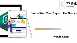 Instant WordPress Support For Themes