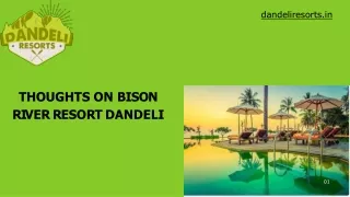 Thoughts on Bison River Resort Dandeli