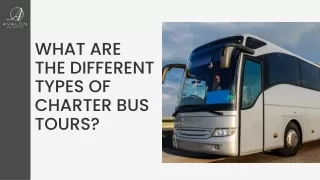 What Are the Different Types of Charter Bus Tours