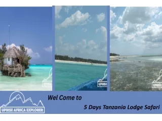 5 Days Tanzania Lodge Safari