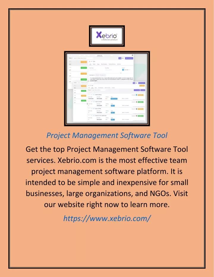 project management software tool