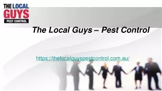Pest Control Melbourne Northern Suburbs | Thelocalguyspestcontrol.com.au