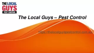 Termites Sydney | Thelocalguyspestcontrol.com.au