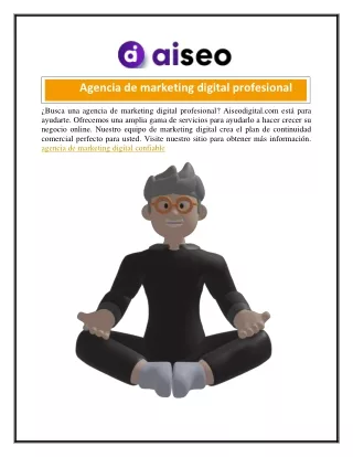 Agencia de marketing digital profesional  aiseodigital