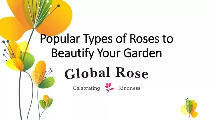 popular types of roses to beautify your garden