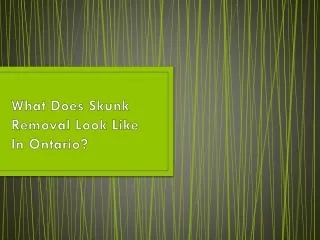what does skunk removal look like in ontario