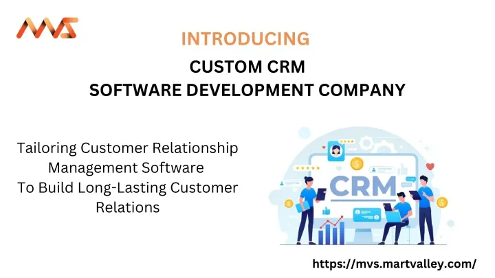 introducing custom crm