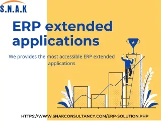 erp extended applications