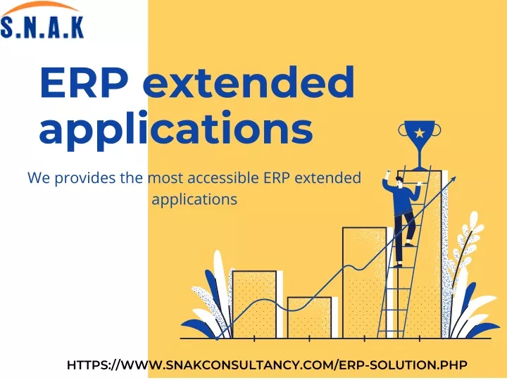 erp extended applications