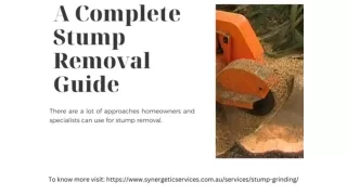 Synergetic Services Australia_ Complete Stumpn Grinding Guide