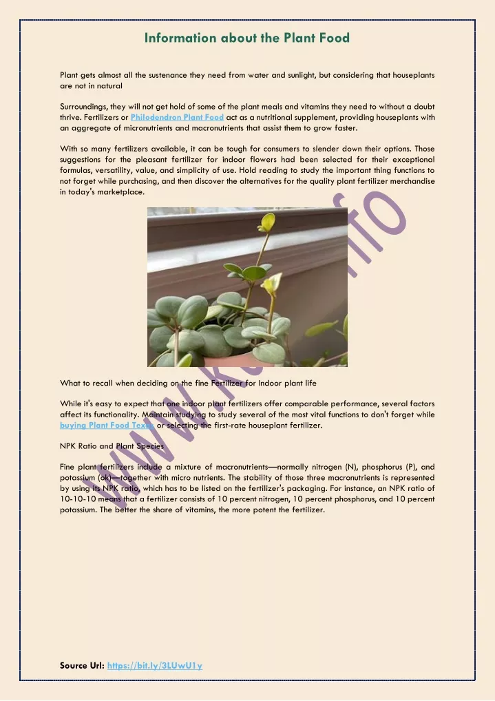 information about the plant food