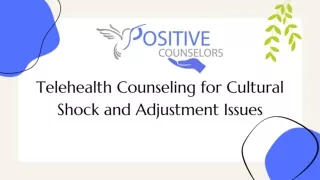 Telehealth Counseling for Cultural Shock and Adjustment Issues