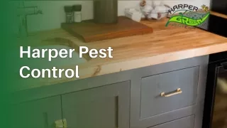 Find A Pest Control Exterminator In Oceanside CA - Harper Pest Control