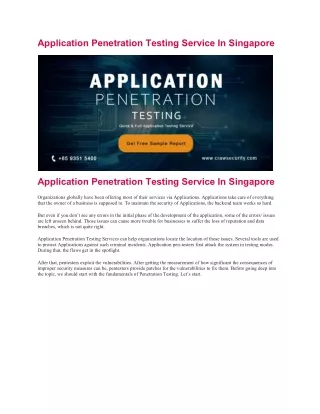 application penetration testing service