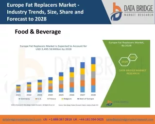 europe fat replacers market industry trends size