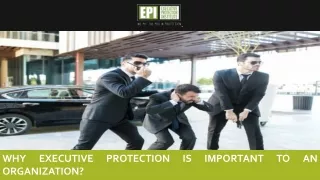 why executive protection is important
