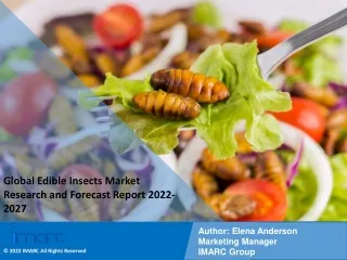 Edible Insects Market: Research Report, Size, Trends and Forecast by 2022-2027
