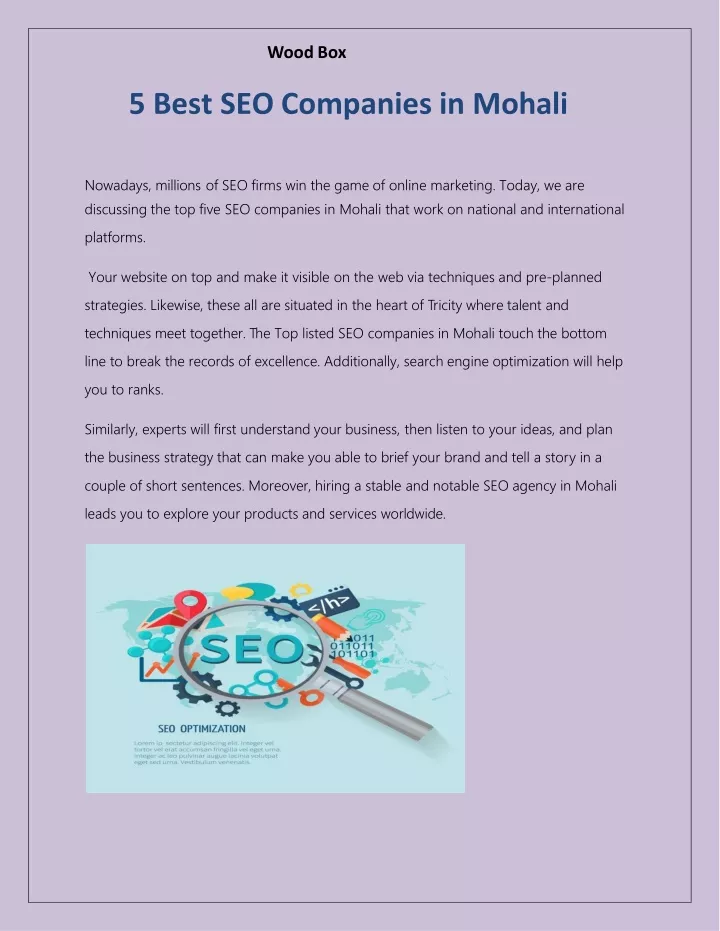 5 best seo companies in mohali