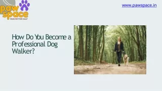 How Do You Become a Professional Dog Walker