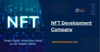 Build and Launch Advanced NFT (Non-Fungible Tokens) Solutions with our NFT Development Services