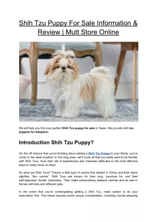 Shih Tzu Puppy For Sale Information & Review | Mutt Store Online