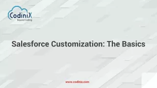 Salesforce Customization The Basics