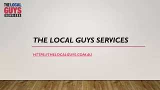 the local guys services