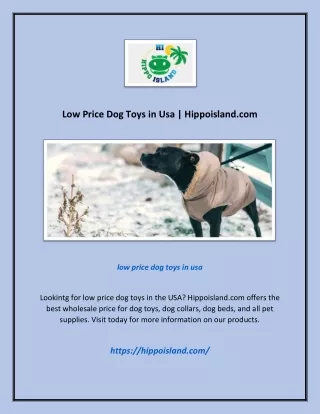 Low Price Dog Toys in Usa | Hippoisland.com