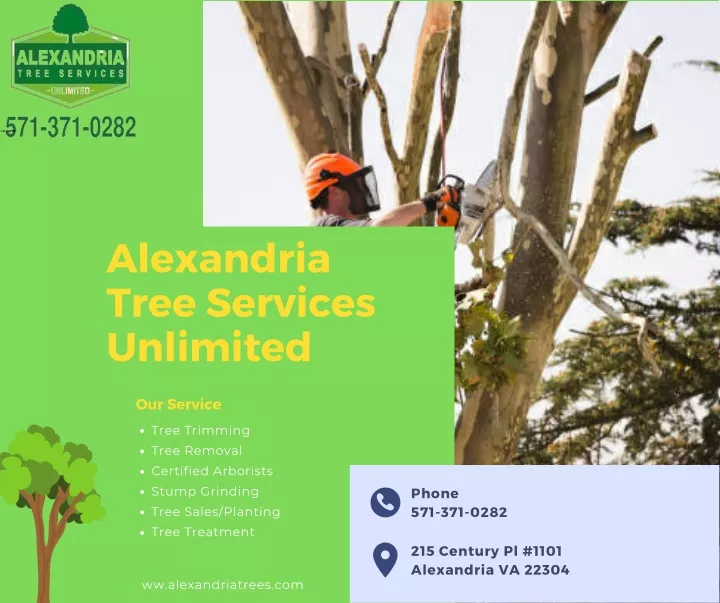 alexandria tree services unlimited