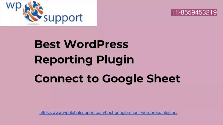 best wordpress reporting plugin connect to google sheet