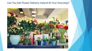 Can You Get Flower Delivery Ireland At Your Doorstep