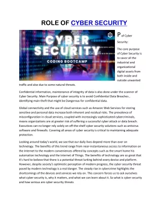 ROLE OF CYBER SECURITY Firaz Owais (2)