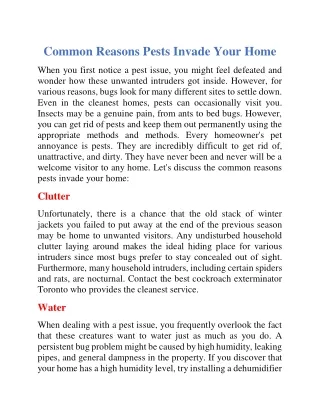 Common reasons pests invade your home