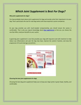 Which Joint Supplement is Best For Dogs