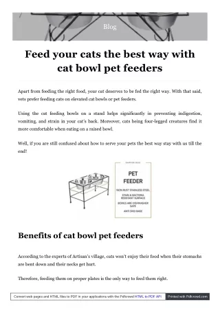 Feed Your Cats the Good Way Inside the Cat Bowl Pet Feeder