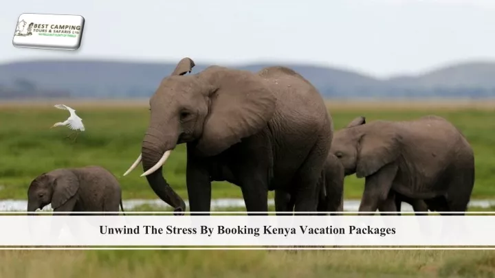 unwind the s tress b y booking kenya v acation packages