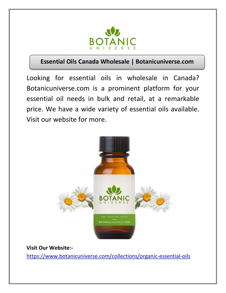 looking for essential oils in wholesale in canada